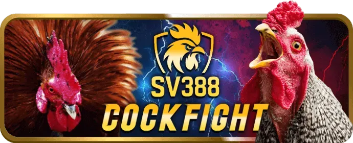 Cá cược thể thao và casino
