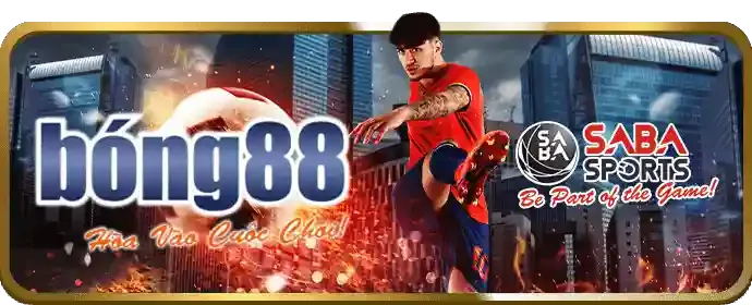 Mã hóa SSL HN88